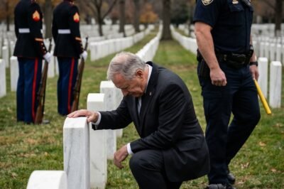 “Police Tased a Grieving Veteran — Seven Minutes Later, the Marines Arrived.”