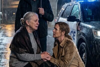 THE NIGHT MY MILLIONAIRE SISTER FOUND ME UNDER A FLORIDA BRIDGE — AND THE MOMENT MY CHILDREN CAME KNOCKING