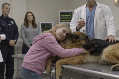 The Little Girl Hugged the Retired Police Dog One Last Time — And the Vet Froze When He Saw What Everyone Else Missed