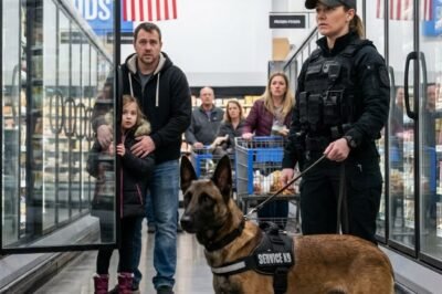 A LITTLE GIRL ASKED FOR HELP WITHOUT A SOUND — EVERYONE MISSED IT EXCEPT MY COMBAT DOG