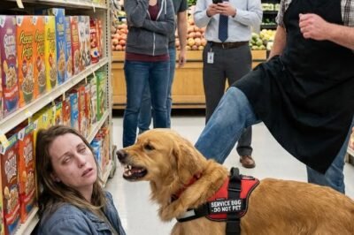 “NO ANIMALS ALLOWED,” HE SAID — THEN HE KICKED THE DOG. EVERYTHING AFTER THAT DESTROYED HIM.